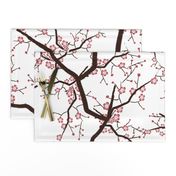 Cherry Blossom Flower Branches