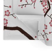 Cherry Blossom Flower Branches