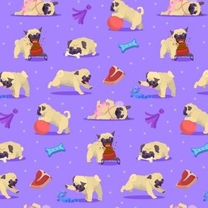 Puglife