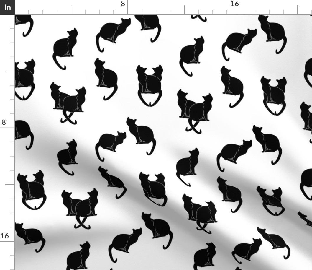 haunted black cats on white
