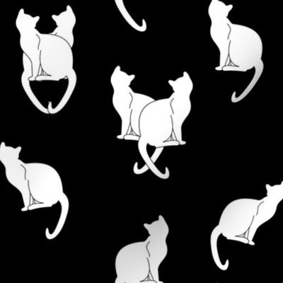 Haunted White Cats on Black