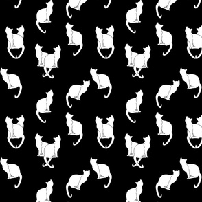 Haunted White Cats on Black