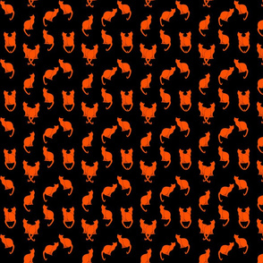 Haunted Orange Cats on Black