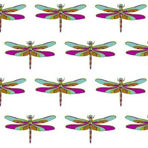 Dragonfly Illustration 