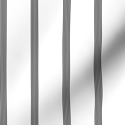 small 6-string  pinstripe - thick black and white  (1/2" stripe sets are once every two inches)