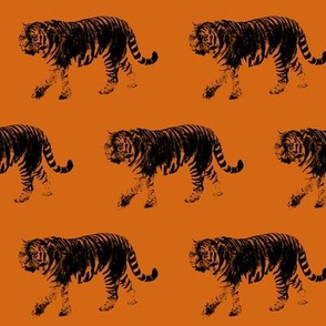 Tiger Prowl on Orange // Medium