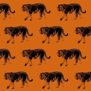 Tiger Prowl - Orange // Small