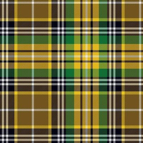 O'Farrell / Fearghail tartan, 6" gold