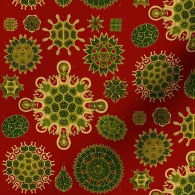 Christmas Haeckel Red