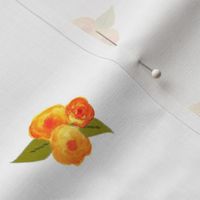 Orange roses on white background