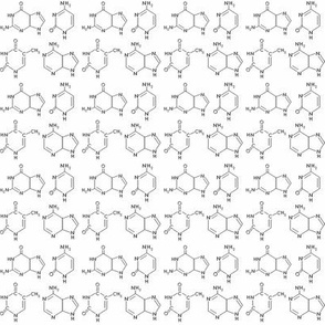 DNA base pairs black