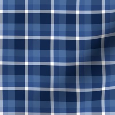 Navy Plaid