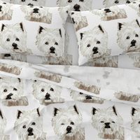 West Highland Terrier