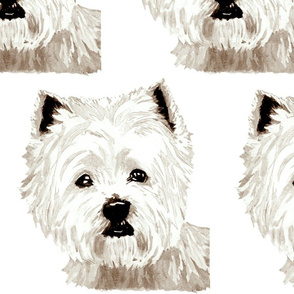 West Highland Terrier