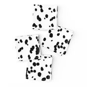 Dalmatian Spots