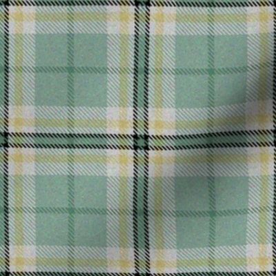 Spring Easter Plaid Green