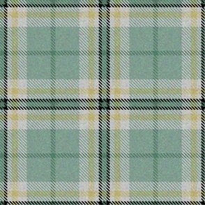 Spring Easter Plaid Green