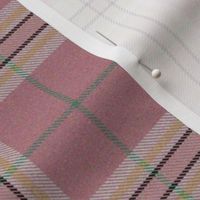 Spring Easter Plaid Pink