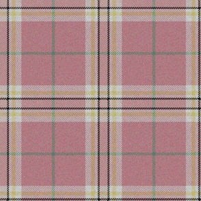 Spring Easter Plaid Pink