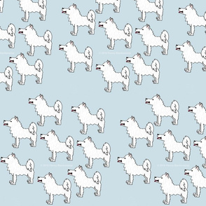 Samoyed_wallpaper