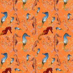 SEAHORSES BALLET ORANGE ANIMALS  NAUTICAL HIPPOCAMPUS SEA HORSE