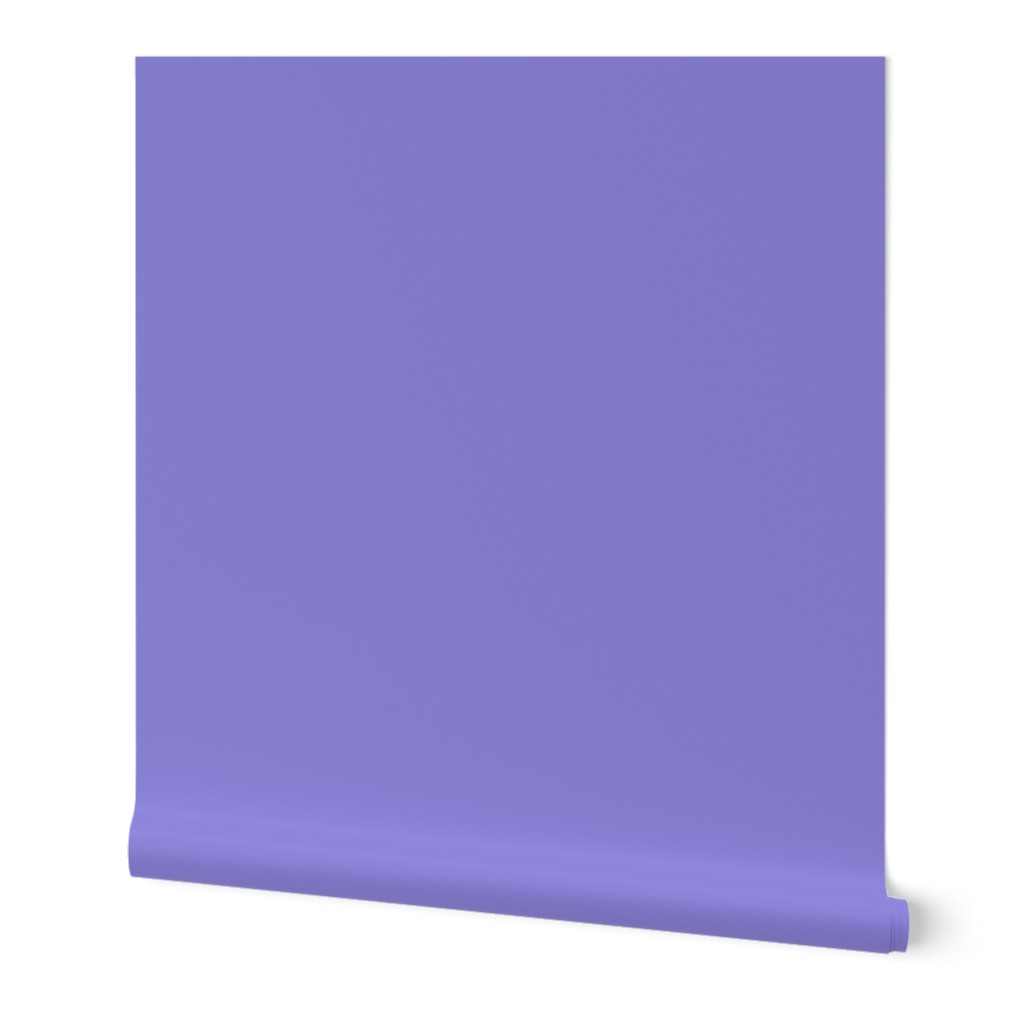 Slate Blue Solid for Frog Fun