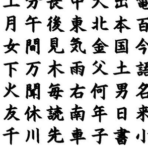 Kanji / Hànzì Characters // Small