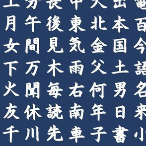 Kanji / Hànzì Characters on Navy // Small
