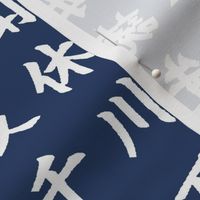 Kanji / Hànzì Characters on Navy // Large
