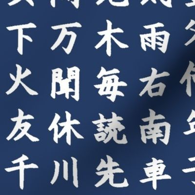 Kanji / Hànzì Characters on Navy // Large