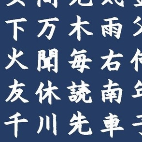 Kanji / Hànzì Characters on Navy // Large