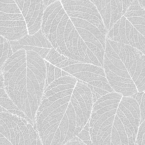 Light Grey Thrones Leaves