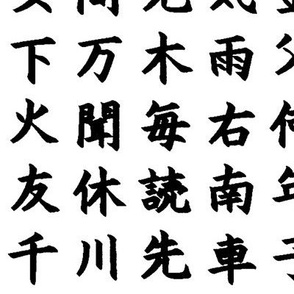 Kanji / Hanzi Characters // Large