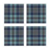 Trendy Blue Plaid 2