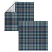 Trendy Blue Plaid 2