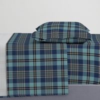 Trendy Blue Plaid 2