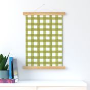 Watercolor Gingham in Green