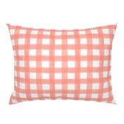 Watercolor Gingham in Peach