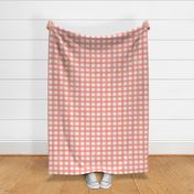 Watercolor Gingham in Peach