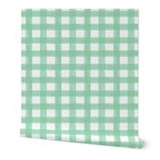 Watercolor Gingham in Mint