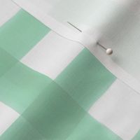 Watercolor Gingham in Mint