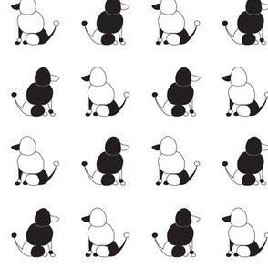 BooBoo Collective - Poodle yin yang 2