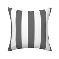 Charcoal Grey 2" Wide Cabana Stripes