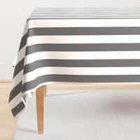 Charcoal Grey 2" Wide Cabana Stripes