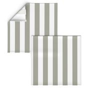 Dove Grey 2" Wide Cabana Stripes