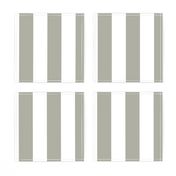 Dove Grey 2" Wide Cabana Stripes