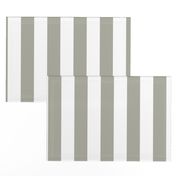 Dove Grey 2" Wide Cabana Stripes