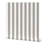 Dove Grey 2" Wide Cabana Stripes