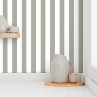 Dove Grey 2" Wide Cabana Stripes