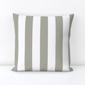 Dove Grey 2" Wide Cabana Stripes